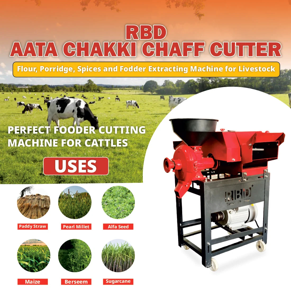 RBD 3 HP 2-in-1 Chaff Cutter with Atta Chakki Copper Motor RBD-AC